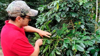 Gobierno de Honduras apuesta por mayor inversión y fortalecer la producción rural en el occidente del país