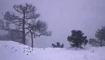 Cerro de Tancítaro en