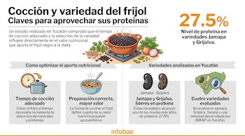 Infografía de cocción y variedad de frijol: texto, porcentaje de proteína, olla, frijoles, perejil, cebolla, reloj, tazón, mapa de Yucatán, lupa.