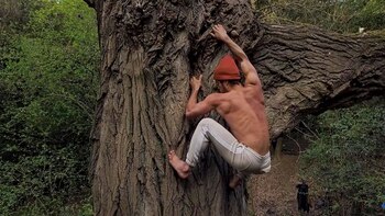 El objetivo planteado por el