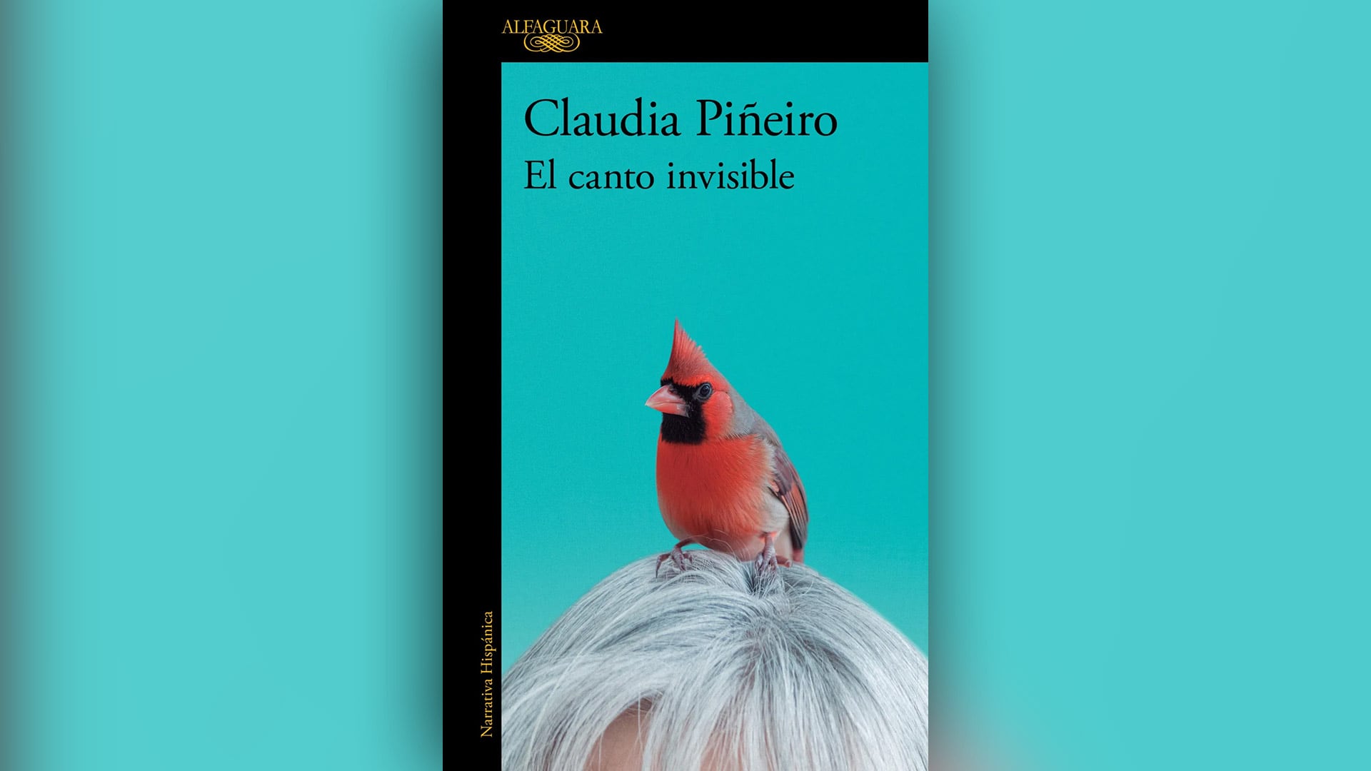 La trama del libro sigue a una editora que viaja a una quinta rural para organizar el archivo inédito de su amiga ornitóloga fallecida.