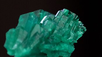 Un juez de EE.UU. deja