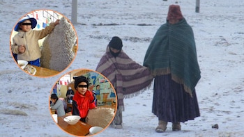 La IE 30107 utiliza piel