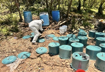 Tres laboratorios clandestinos de metanfetamina fueron desmantelados en Cosalá, Sinaloa, durante un operativo coordinado por autoridades federales el 13 de julio de 2026. Crédito: Especial