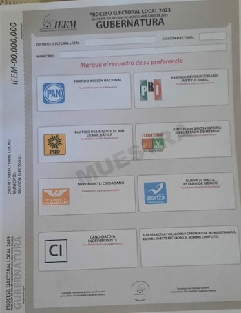 Así luce la supuesta boleta