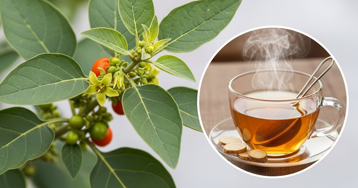 Infusiones y suplementos: qué se sabe sobre las hierbas que prometen reducir el estrés