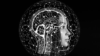 Los tres descubrimientos científicos más