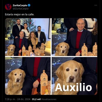 El lomito de la familia