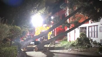 En horas de la noche del 9 de octubre de 2025, la comunidad del barrio Mandalay, en la localidad de Kennedy, al sur de Bogotá, se llevó un gran susto, luego de que un árbol cediera y cayera sobre algunas viviendas del lugar - crédito captura de pantalla City Tv