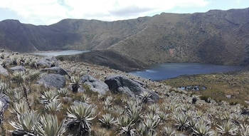 Las cinco lagunas sagradas muiscas de Cundinamarca integran una ruta ancestral asociada con rituales de fertilidad y el cuidado del territorio - crédito Google Maps