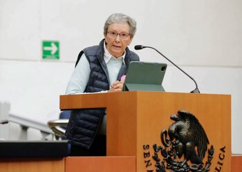 Yolanda Alaniz mencionó que México