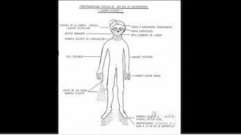 Esta sería la forma que