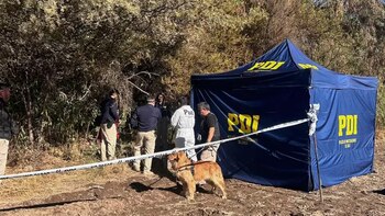 Su cadáver apareció enterrado a