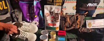 La pareja negó los cargos