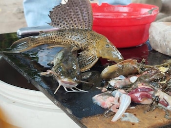 Frente al riesgo inminente de inundaciones, Neiva toma medidas preventivas, cerrando tomas de agua, manteniendo el suministro sin afectaciones - crédito La Nación