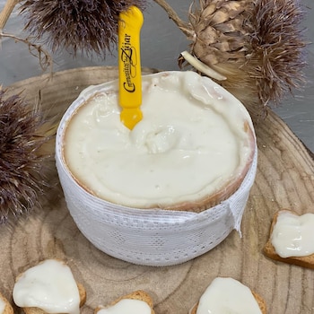 Cremositos del Zújar, un queso de oveja merina premiado en 2026 como el mejor de España (Instagram / @cremositos)