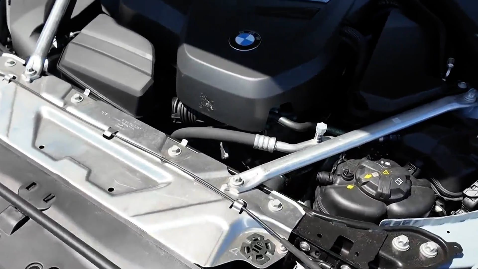 El concesionario BMW encontró bajo el capó marcas de garras, mordiscos y una madriguera improvisada tras inspeccionar el vehículo