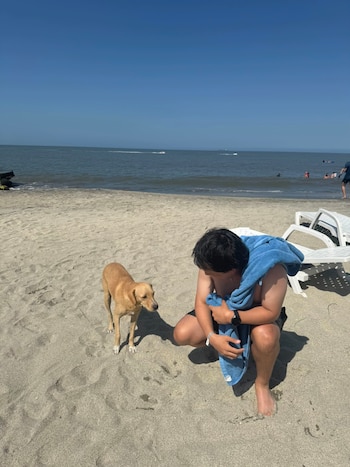 Otros usuarios compartieron que el