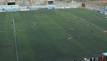 Jugadores, árbitros y cuerpos técnicos se tiraron al césped para evitar picaduras durante la emergencia en el estadio. (Cortesía: Deportes TVC)