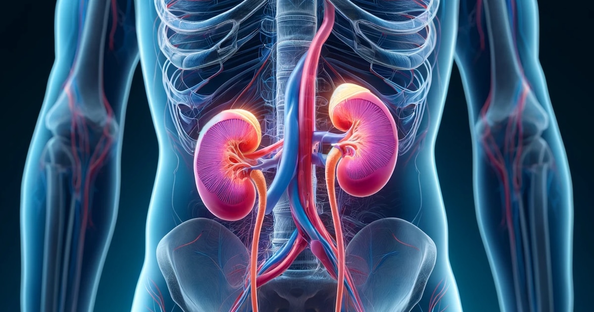 La lesión renal aguda puede desarrollarse en horas y poner en riesgo la vida: causas y factores de riesgo