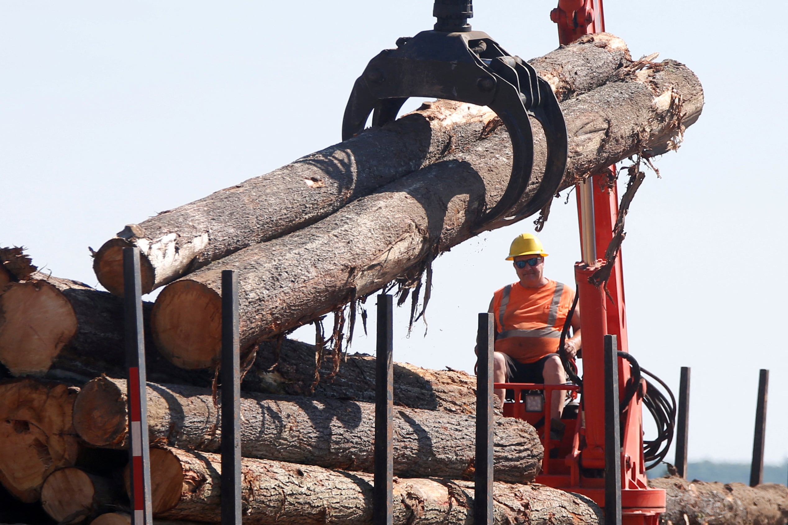 La industria forestal canadiense abastece insumos esenciales para fabricantes que operan en el mercado estadounidense (REUTERS/Chris Wattie/File Photo)