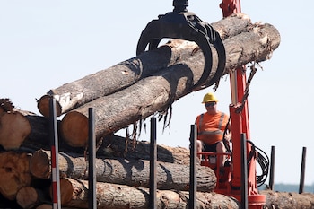La industria forestal canadiense abastece insumos esenciales para fabricantes que operan en el mercado estadounidense (REUTERS/Chris Wattie/File Photo)