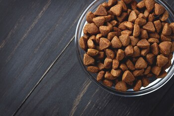 Antes de aplicar la alimentación