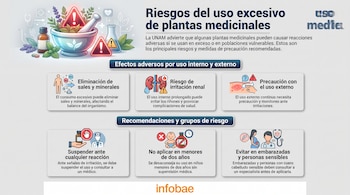 Infografía con texto "Riesgos del uso excesivo de plantas medicinales", logos de UNAM e Infobae. Muestra iconos de salud, frascos, mortero, riñones, piel, bebé, mujer embarazada y médico.
