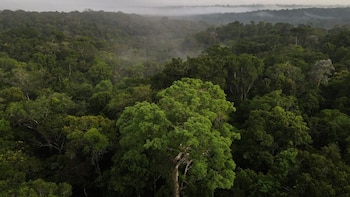 Perú lanza la mayor ofensiva