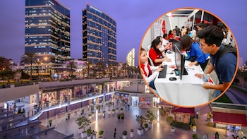 Conoce los sectores y perfiles