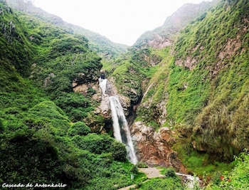 79 soles cuesta un full