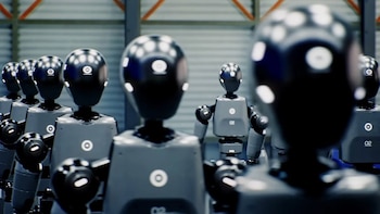 “Este tren no se va