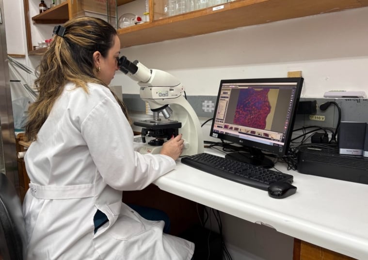 El Laboratorio de Diagnóstico e Investigación Veterinaria aplica las metodologías recomendadas por la OMSA. (Mida)