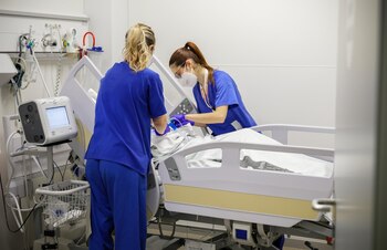 Imagen MFAYE4AUIZHVNJEELW6H2INB54