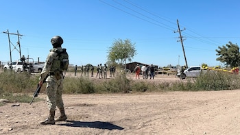 Las acciones fueron realizadas por