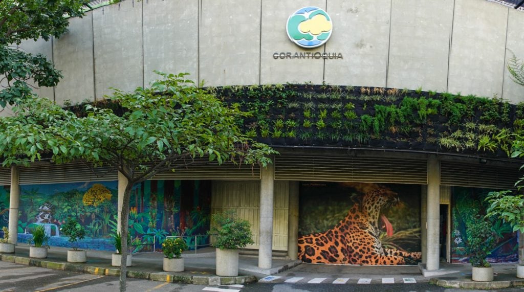 Corantioquia reconoció un riesgo latente en el corredor del río Nare, donde los avistamientos y la movilidad de hipopótamos dificultan fijar una ubicación permanente de los animales - crédito Corantioquia