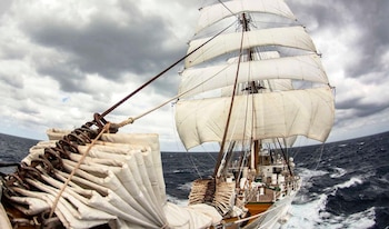 El reconocimiento Boston Teapot distingue