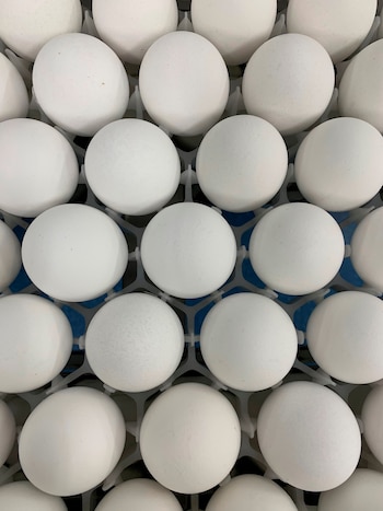 Los diferentes estudios no se