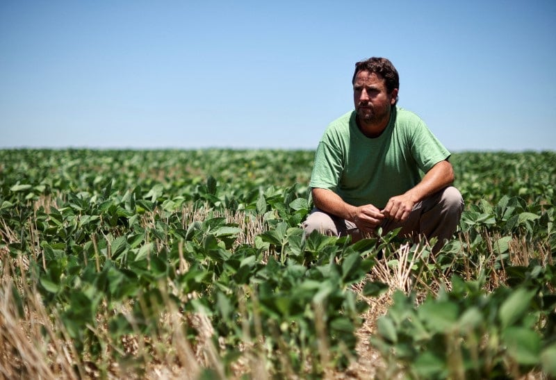 El déficit hídrico acumulado en enero condiciona la evolución de la soja y el maíz, especialmente en el centro y este de la región núcleo. (Reuters)