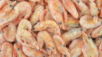 Exportaciones industriales no tradicionales en