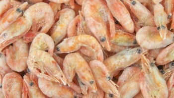 SNI - industrias - exportaciones