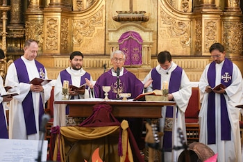 El mantenimiento periódico de la cabellera, junto con factores ambientales, explica los cambios de apariencia que reportan algunos visitantes- crédito Colprensa/Lina Gasca