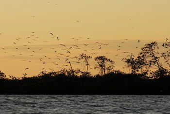 El hombre desapareció misteriosamente mientras
