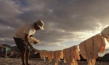 FAMILIA CUEVAS - ISLA EL PARDITO