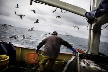 El capitán a bordo del