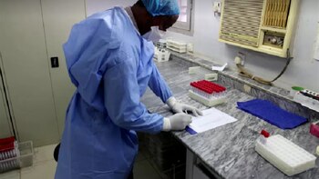 Uno de los dos grupos