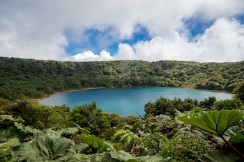 Costa Rica ocupa el tercer lugar en esta lista, pero el pequeño país ocupa el segundo lugar en el suplemento de “demanda digital de turismo natural y atractivo de activos naturales” del informe Travel and Tourism Competitiveness Report 2017. El Parque Nacional de la Isla del Coco en conocido por ser la única isla en el Pacífico oriental con una selva tropical, y el Parque Nacional Tortuguero es famoso por sus tortugas marinas