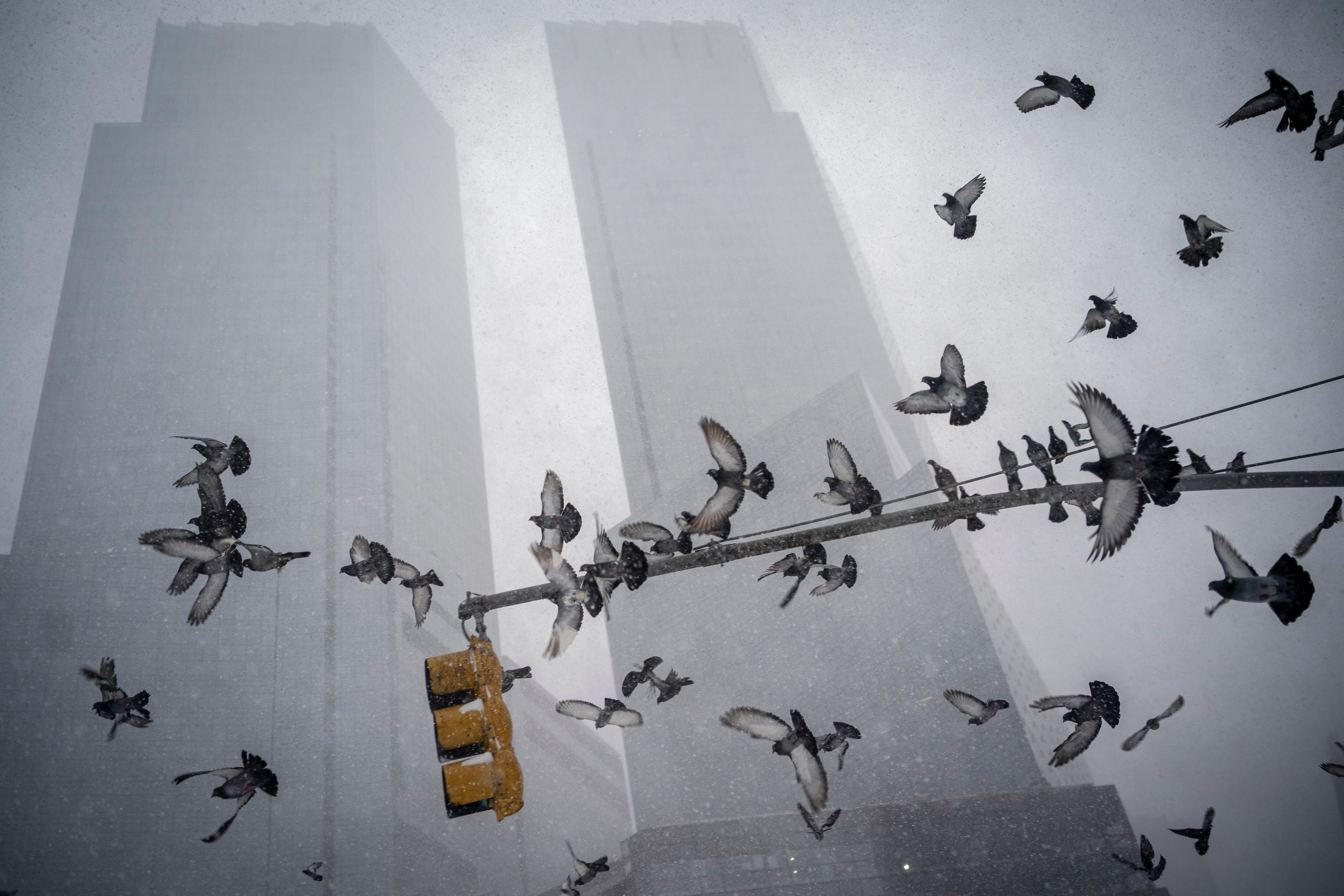 Columbus forma parte del estado de Ohio, durante la temporada de invierno se registran fuertes nevadas (AP Photo/Wong Maye-E)