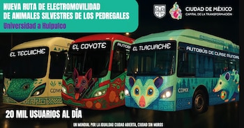 (Gobierno CDMX)