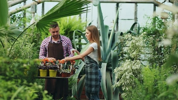 Más de la mitad de las empresas en Costa Rica ya aplica prácticas sostenibles y apuesta por el empleo verde